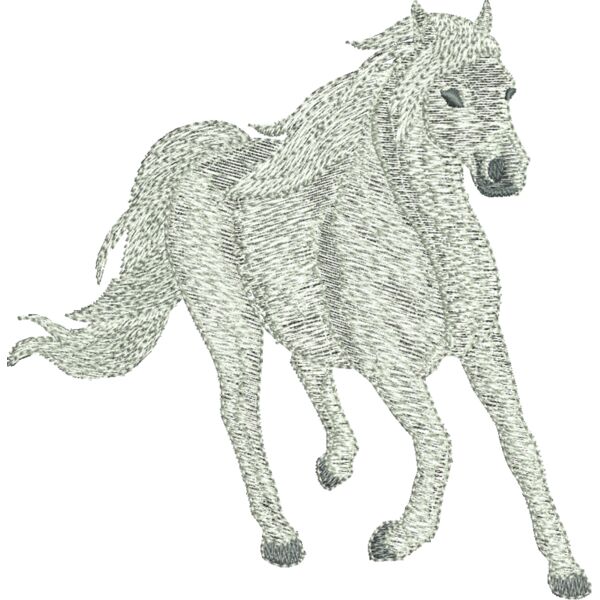 397009 Thumbnail