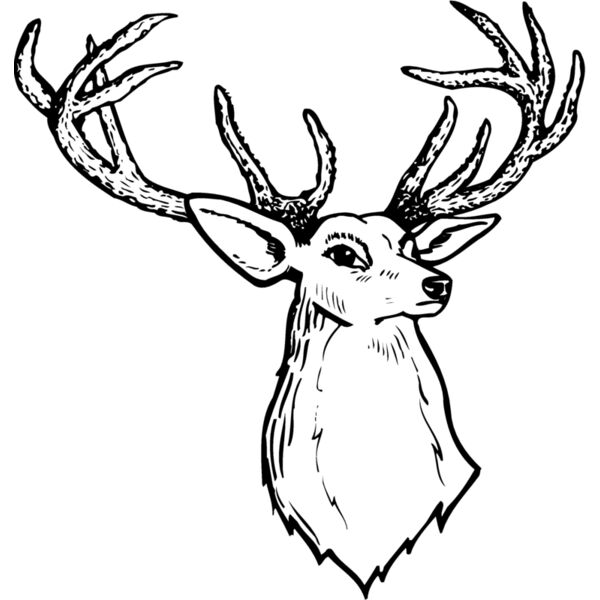 DEER008 Thumbnail
